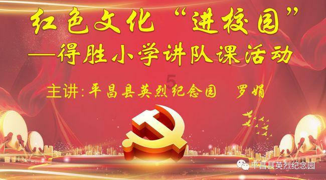 胆小流浪猫拯救被虐待的斗牛犬，当它们逃出生天时，遇见了……